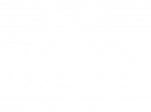 Logo_Ripken_RZ_weiß